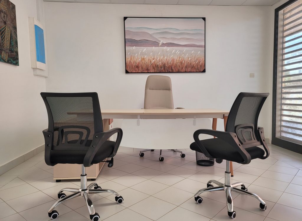 The New Office